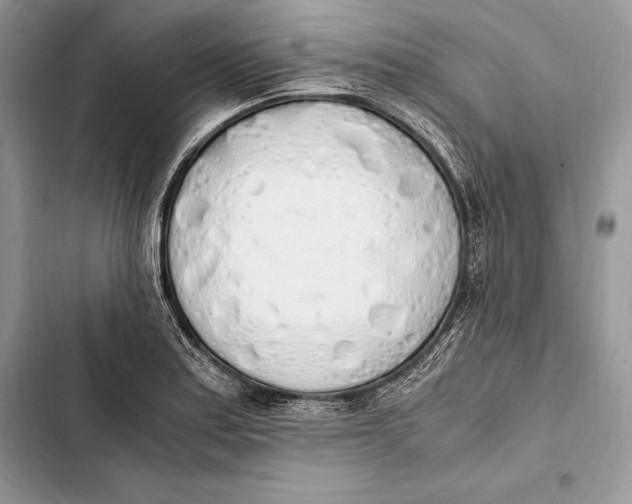 X0000103501179200810031621