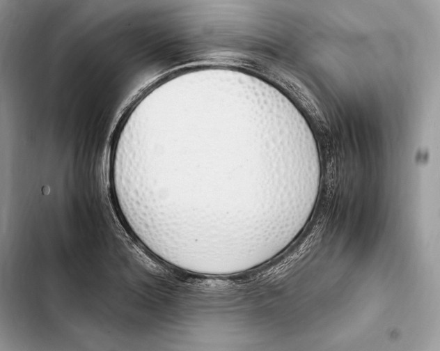 X0000103501180200810031621