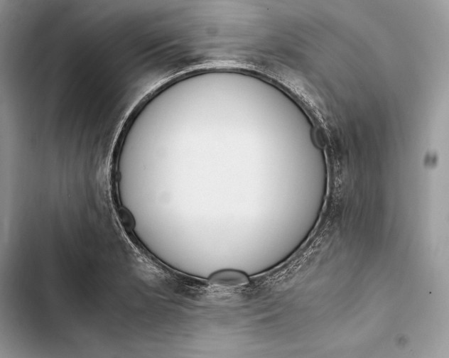 X0000103501181200810031621