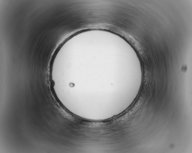 X0000103501184200810031621