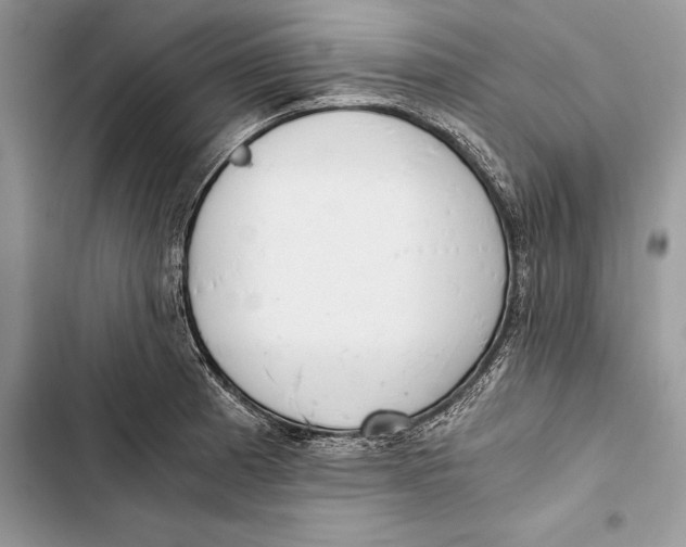 X0000103501185200810031621