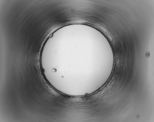 X0000103501186200810031621