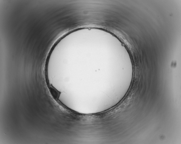 X0000103501189200810031621