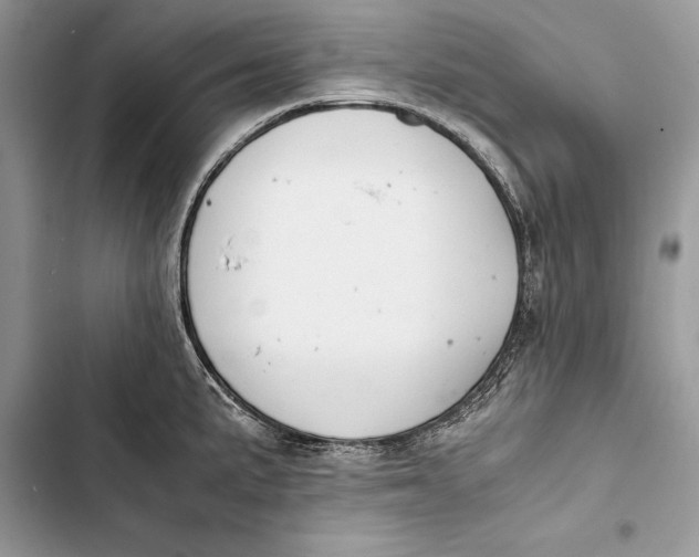 X0000103501191200810031621