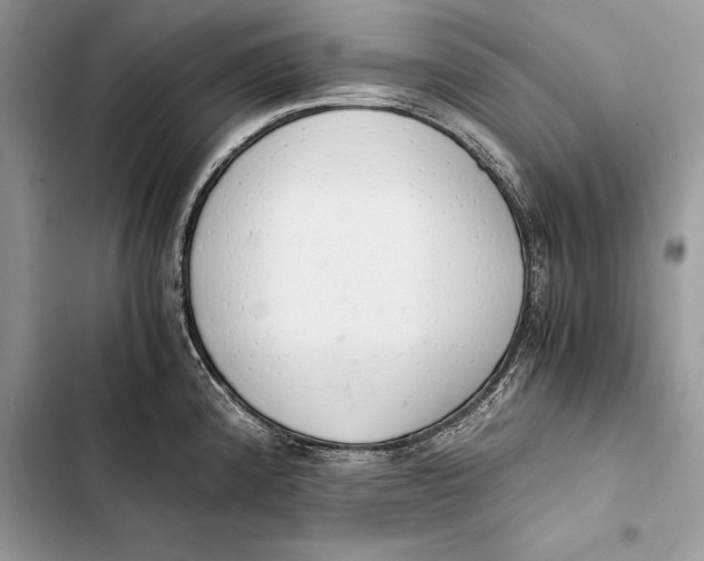 X0000103501192200810031621