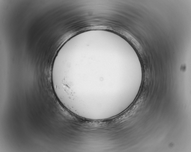 X0000103501193200810031621