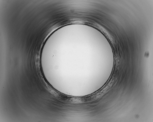 X0000103501194200810031621