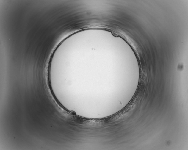 X0000103501195200810031621