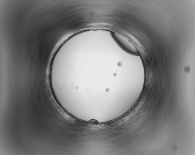 X0000103501196200810031621