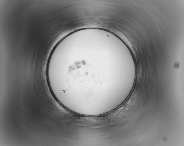 X0000103501197200810031621