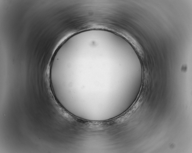 X0000103501198200810031621