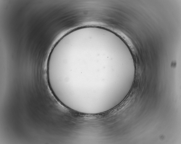 X0000103501199200810031621