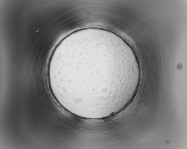 X0000103501200200810031621