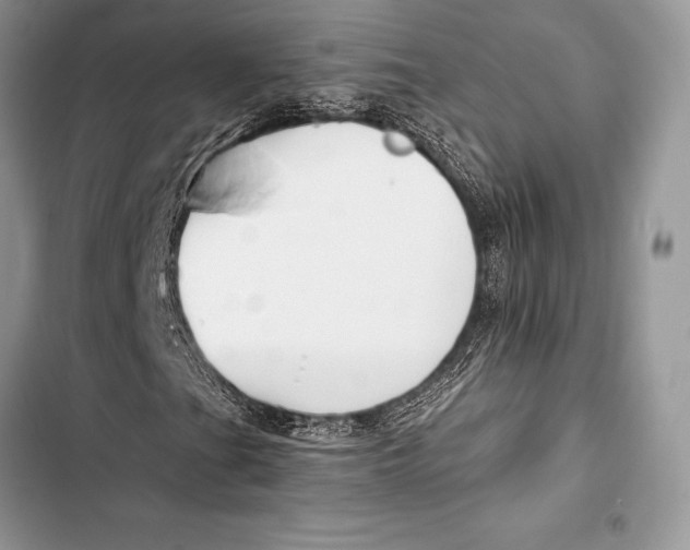 X0000103501201200810031620