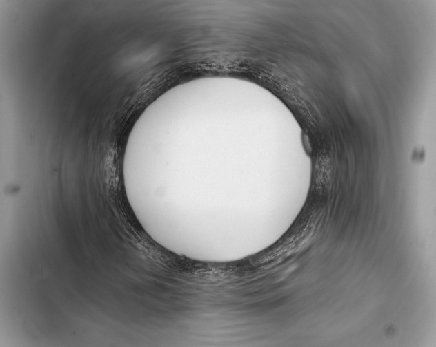 X0000103501202200810031620