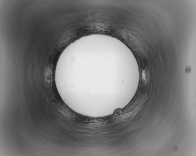 X0000103501203200810031620