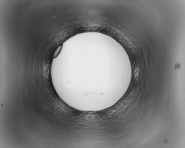 X0000103501204200810031620