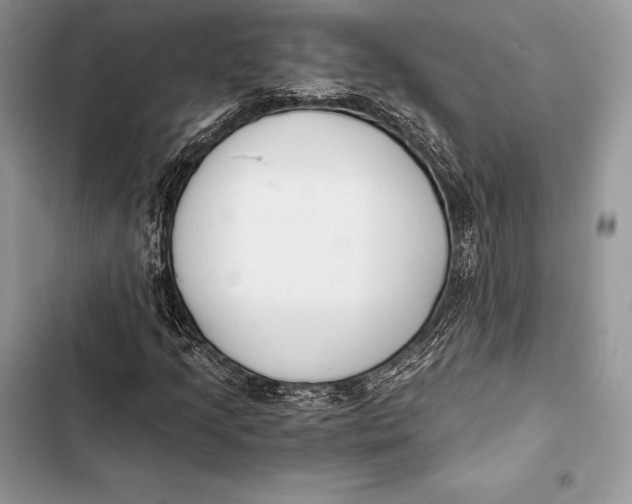 X0000103501205200810031620