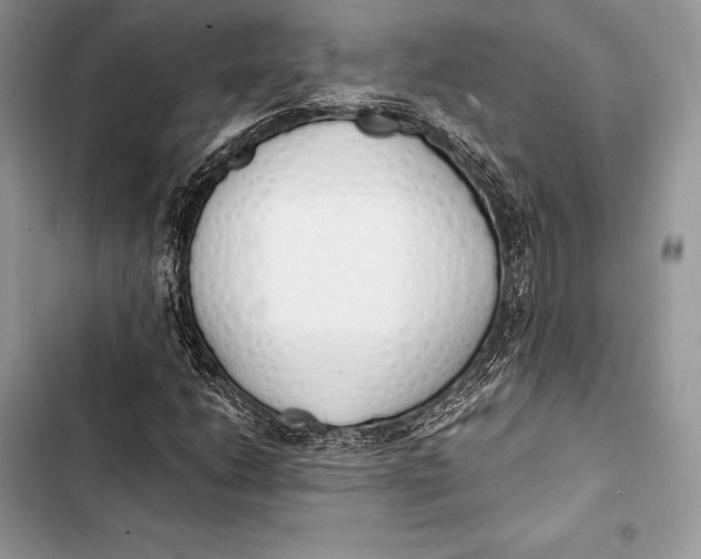 X0000103501206200810031620