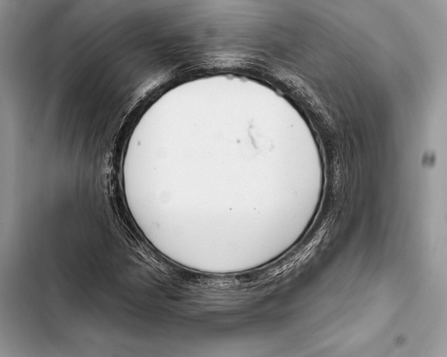 X0000103501210200810031620