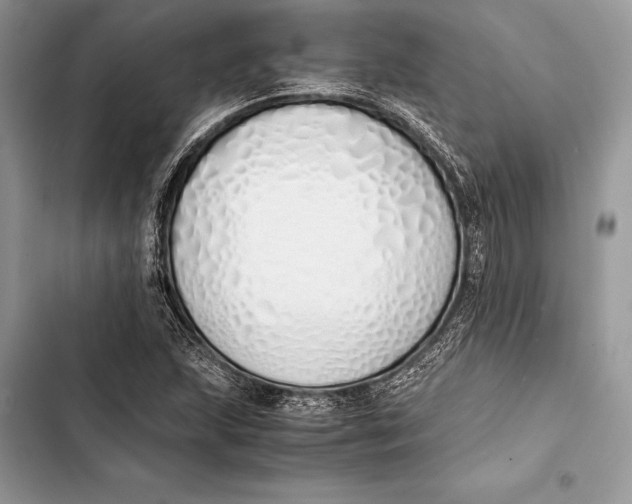 X0000103501215200810031620