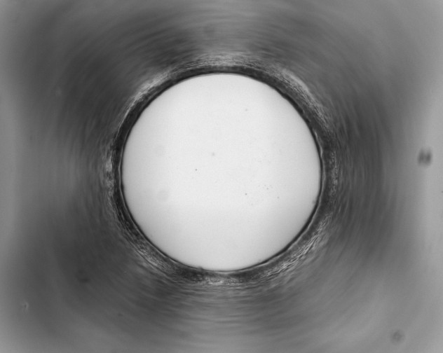 X0000103501218200810031621