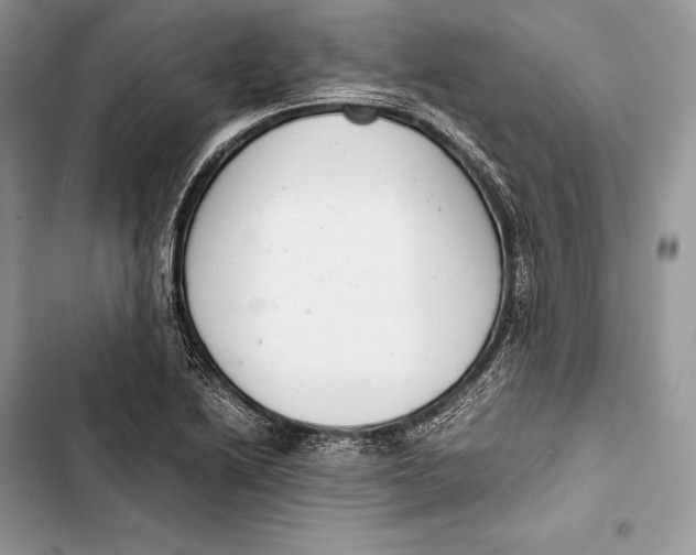 X0000103501222200810031621