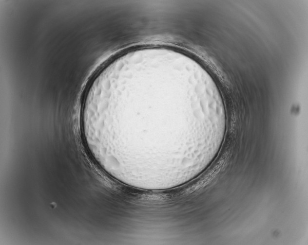 X0000103501224200810031621