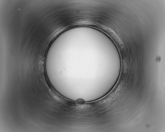 X0000103501225200810031621