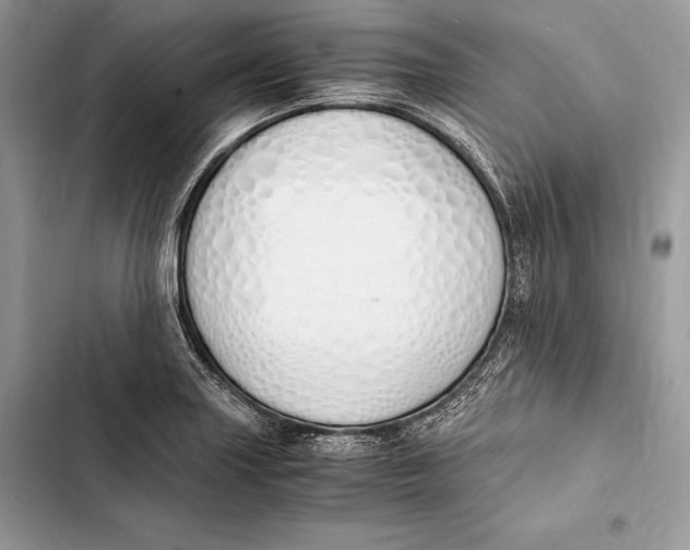 X0000103501227200810031621