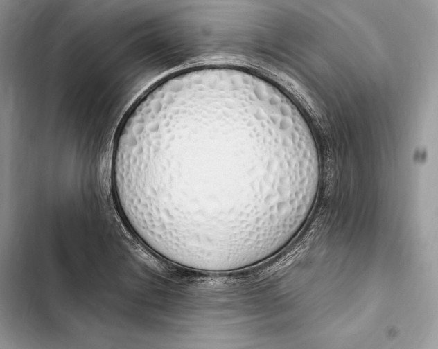 X0000103501228200810031621