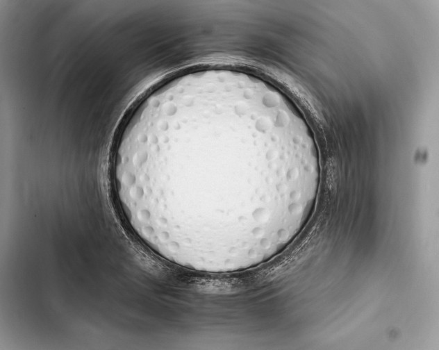 X0000103501229200810031621