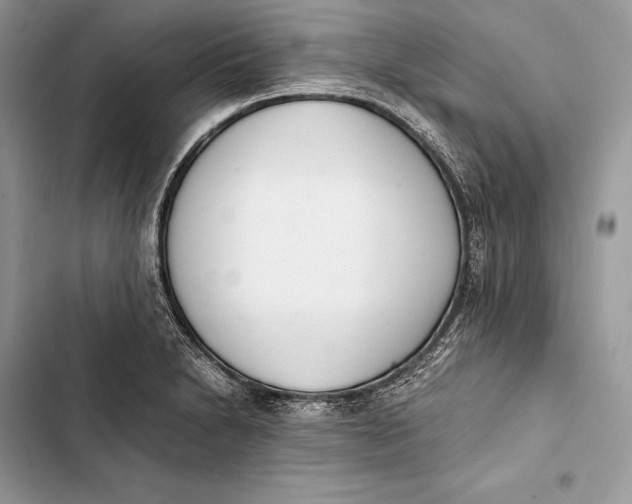 X0000103501230200810031621