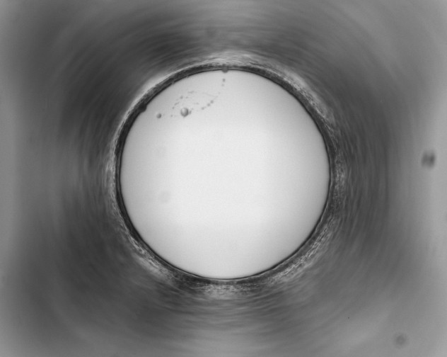 X0000103501232200810031621