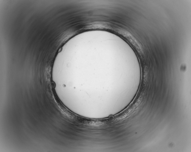 X0000103501233200810031621