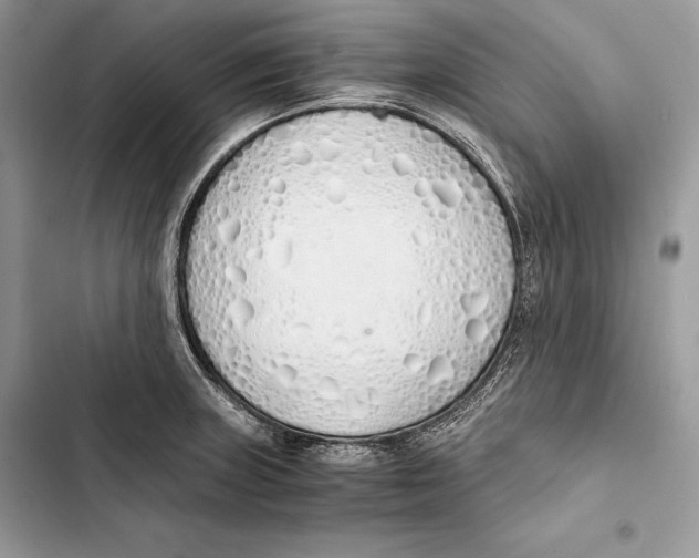 X0000103501235200810031621