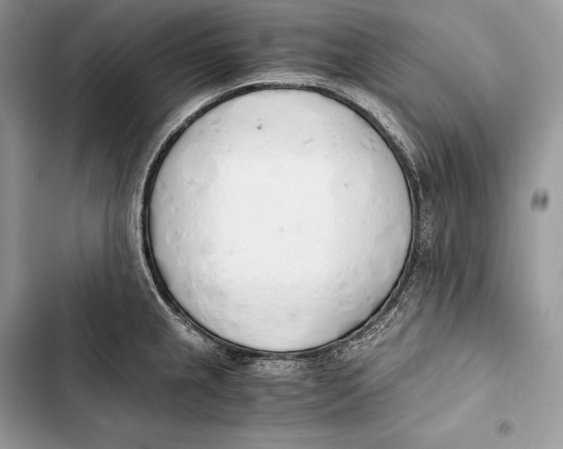 X0000103501237200810031621