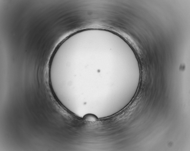 X0000103501238200810031621