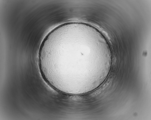 X0000103501239200810031621