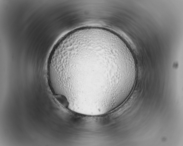 X0000103501240200810031621