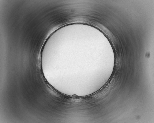 X0000103501242200810031621