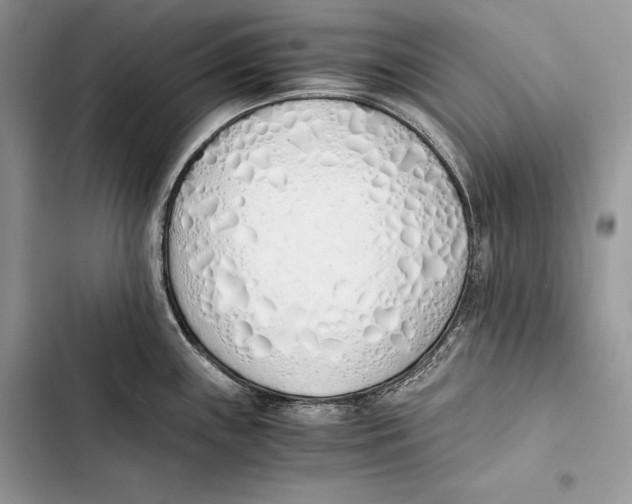 X0000103501243200810031621