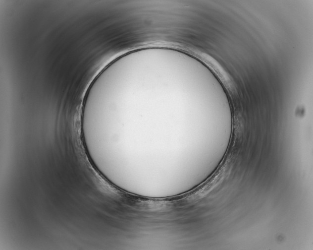 X0000103501244200810031621