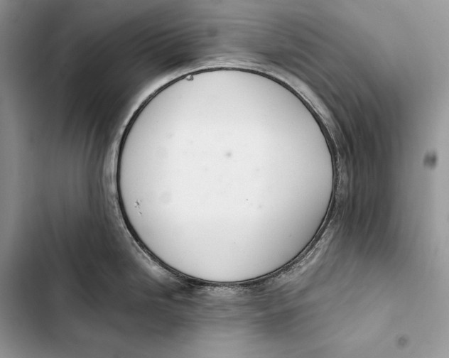 X0000103501246200810031621