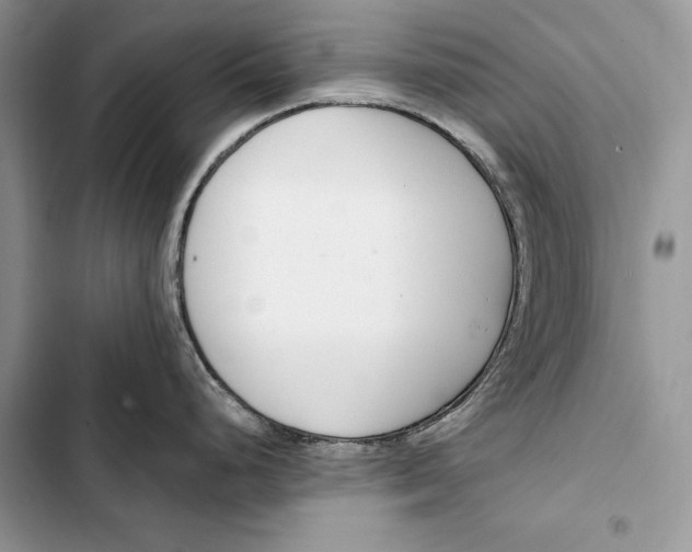 X0000103501248200810031621