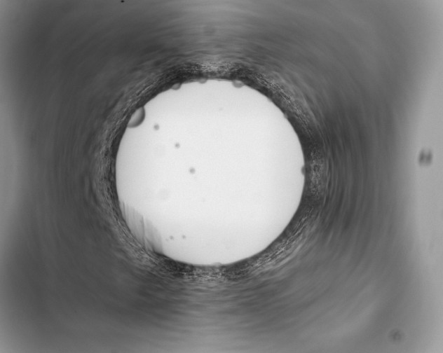 X0000103501249200810031620