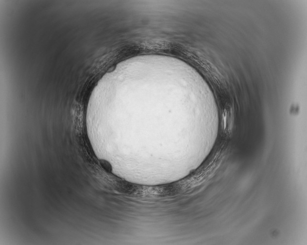 X0000103501251200810031620