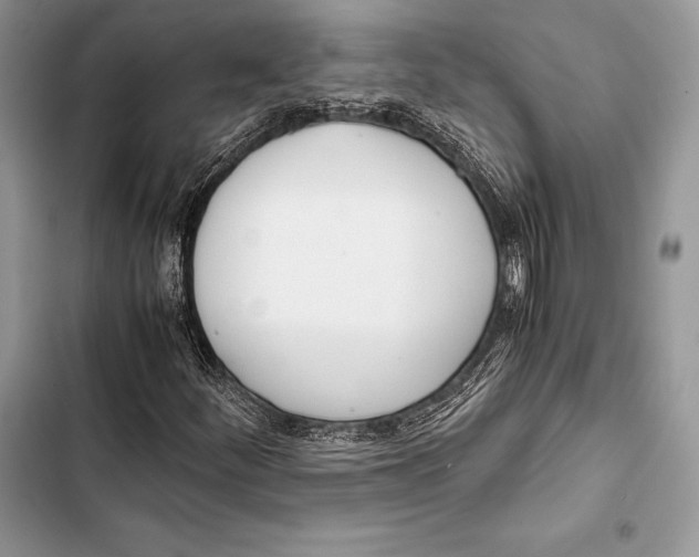 X0000103501252200810031620