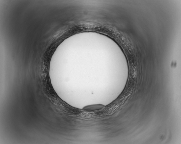 X0000103501253200810031620