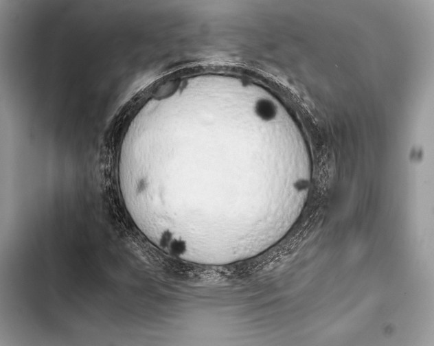 X0000103501255200810031620